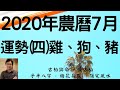 2020年農曆7月(陽曆8/19 ~ 9/16)生肖八字流月運勢分享 (四) 雞、狗、豬