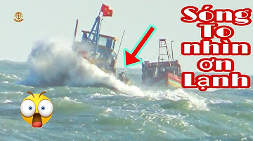 🔴 Ghe Về Cảng Toàn Sóng Khổng Lồ - Bình Thuận Dấu Yêu