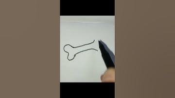 How to draw a bone easy drawing #drawing