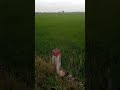 Ngày 27 7 2025 Ngày 27 7 2025