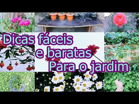 Dicas fáceis e baratas para jardim + Flores do meu jardim | Especial 1000  inscritos - thptnganamst.edu.vn