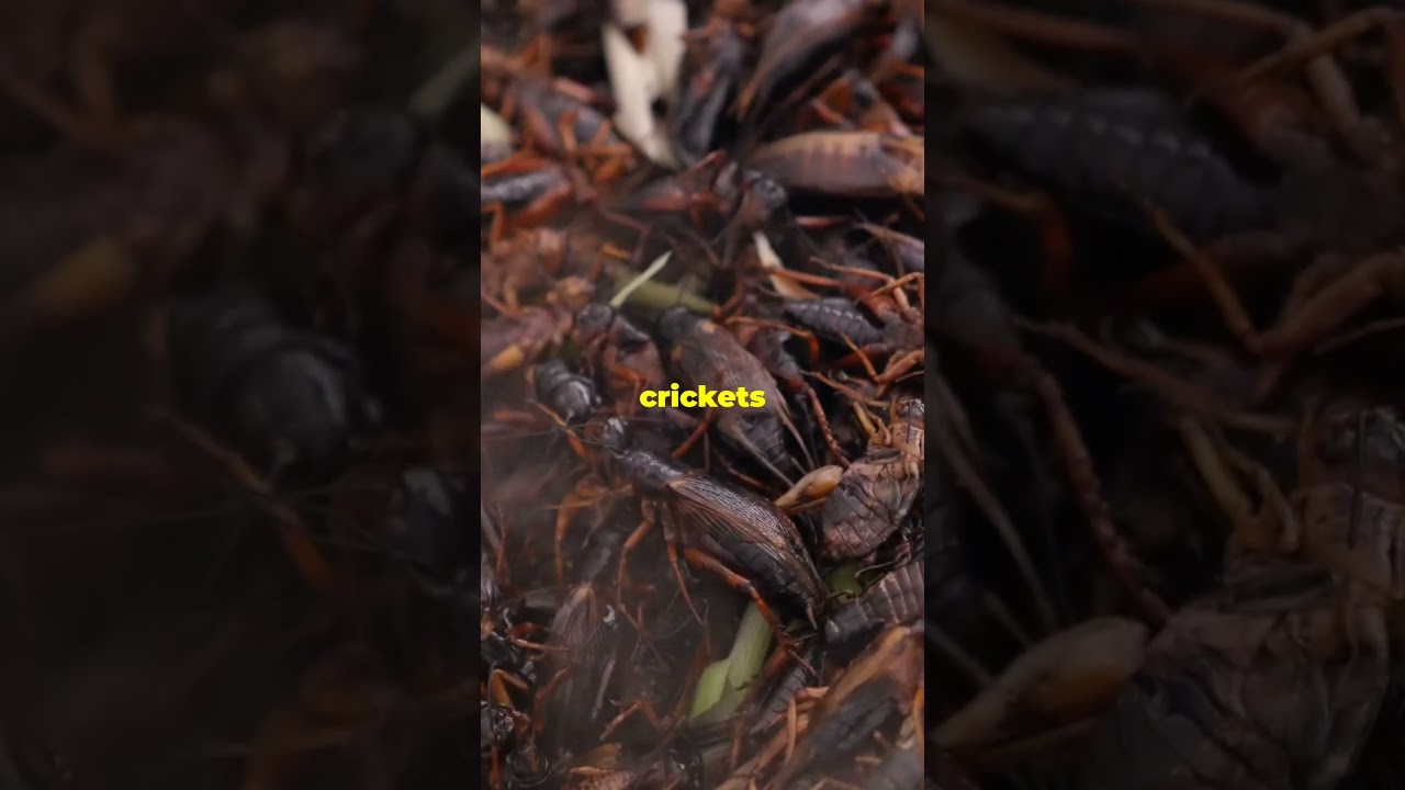3 SHOCKING Benefits of Eating CRICKETS You Never Knew Existed