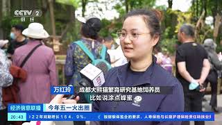 [经济信息联播]今年五一火出圈 萌兽国宝背后的“奶爸奶妈”| 财经风云