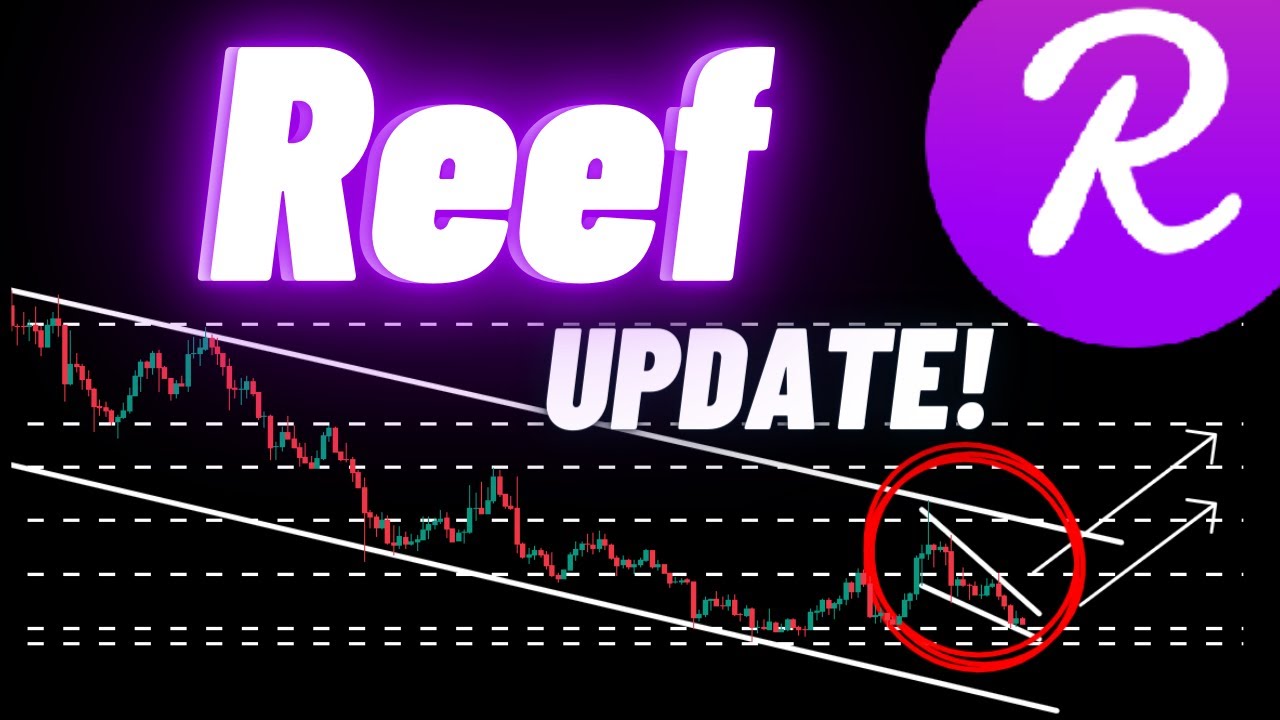 Reef Crypto Coin Update! - YouTube