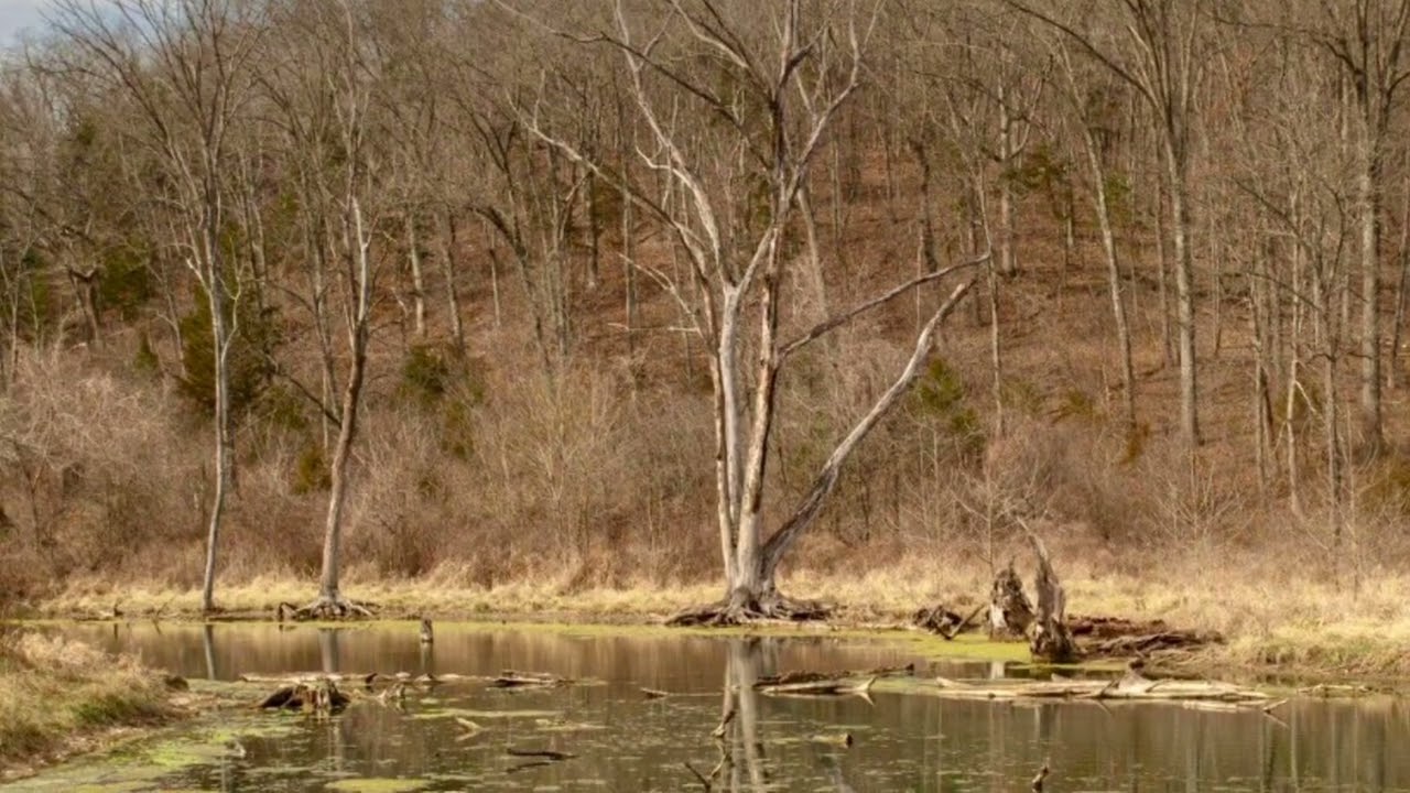 Dirty Water Blues @DonGephart-t6z