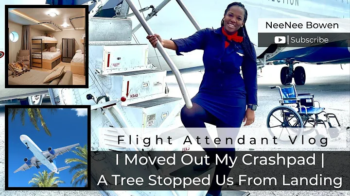 Flight Attendant Vlog: I Moved Out My Crashpad | A Tree Stopped Us From Landing