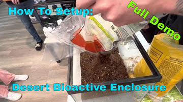 How To Setup: Desert Bioactive Enclosure
