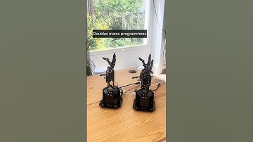 Robot Main Programmable UhandPi - Leobotics