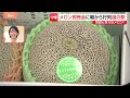 GW後半戦！野外シネマ、噴水ショー、潮干狩り…無料で楽しめるスポットをご紹介！こどもの日無料スポットも！【Nスタ解説】｜TBS NEWS DIG