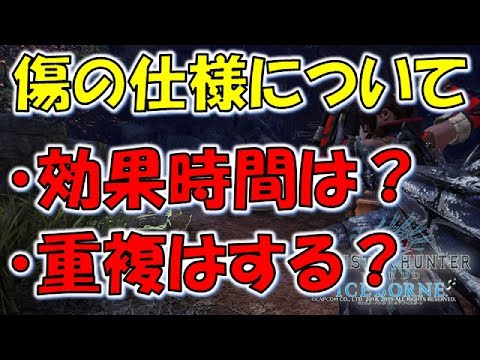 Mhw Ib 知っておくと損なし 傷の仕様について モンスターハンターワールドアイスボーン Youtube