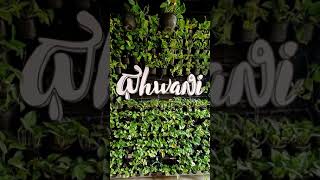 Unique Restaurant Alert | Dhwani | Indiranagar | Must Visit Cafe in Namma Bengaluru