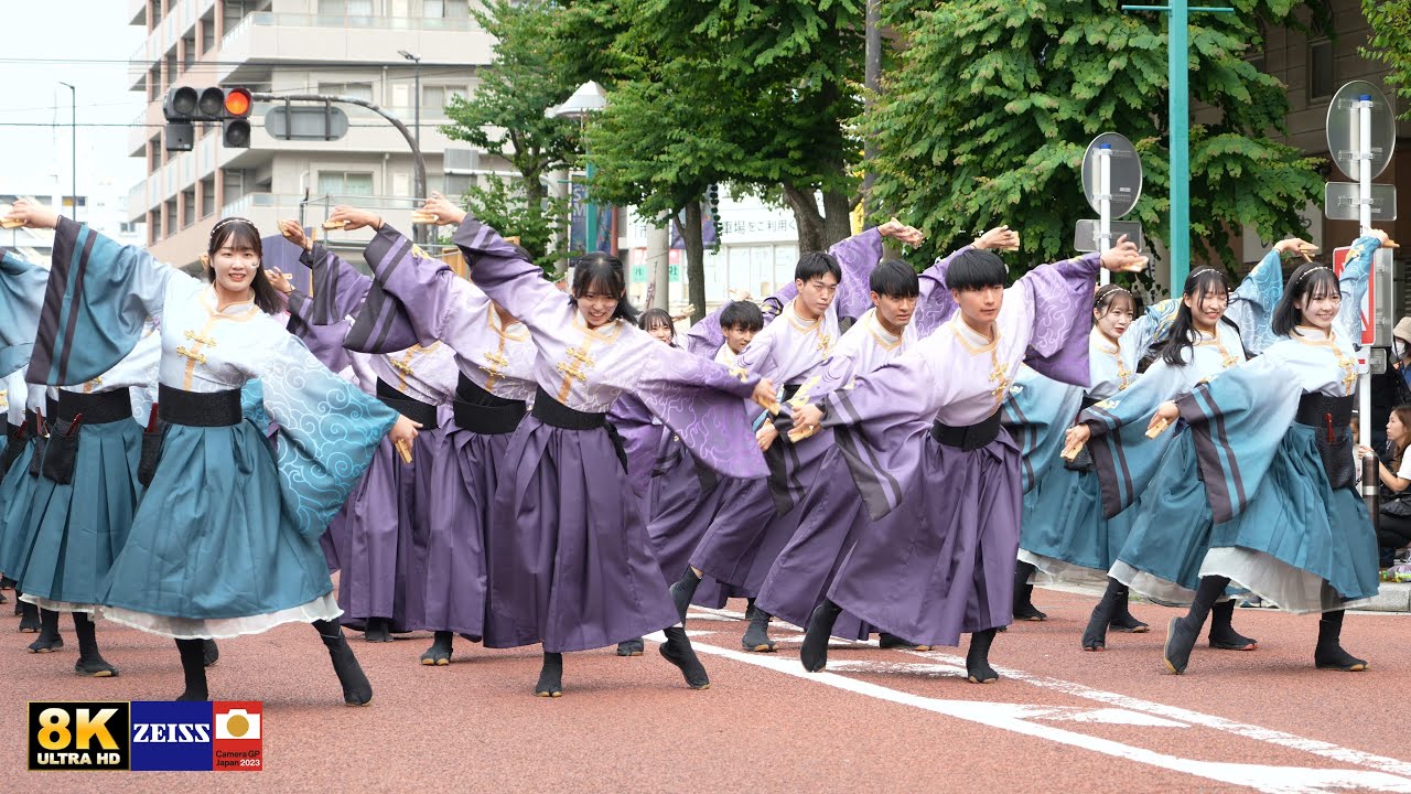 早稲田大学 東京花火【天つかさ】湘南よさこい祭り2024 ☆お披露目