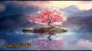 الصدق 21 - الحجر الصحي كوفيد 19. خواطر وتأملات أيام نظنها عصيبة