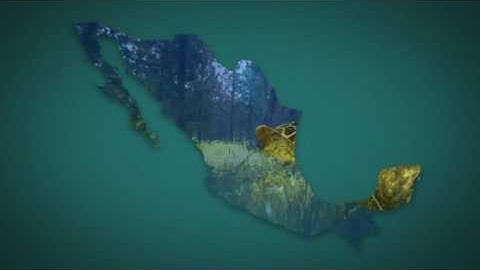 Mexico Map Kit. After Effects Project on Videohive.net