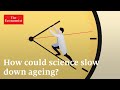 Understanding Aging and Longevity
