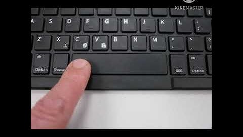 Std : 2. Sub : Computer. Ls.No 4. The keyboard and the mouse