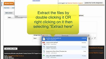 How to read Turnitin submissions offline