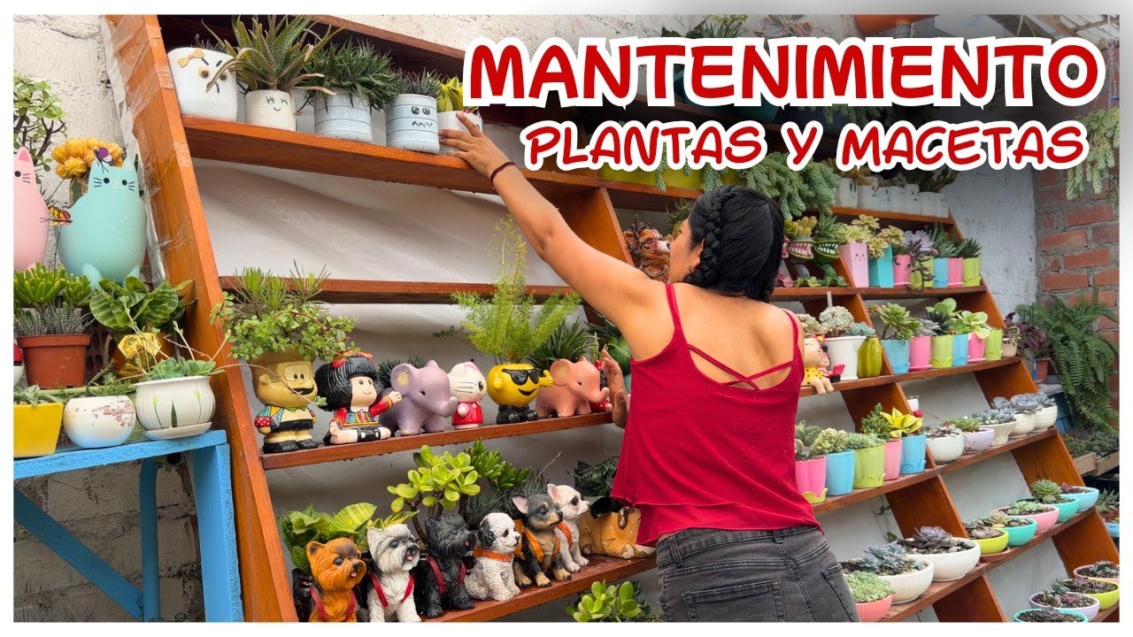 Mantenimiento y limpieza a mi mueble de macetas, me toco revisar todas las plantas por que encontre