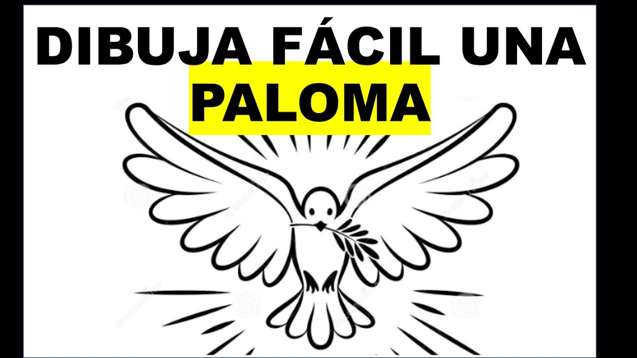 Cómo dibujar una paloma | Dibujo muy fácil de una paloma paso a paso