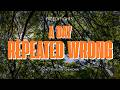 A Day Repeated Wrong - Short Flim