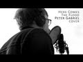 Peter gabriel  here comes the flood cover