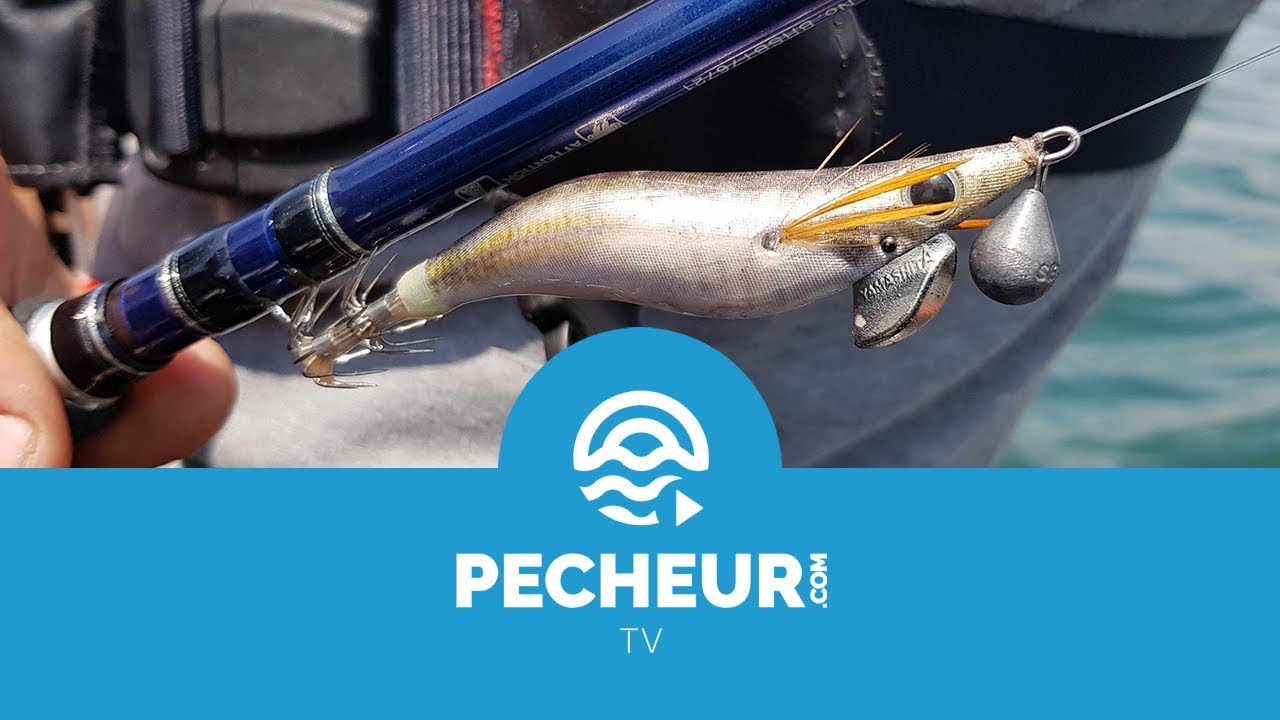 L’eging ou comment pêcher les céphalopodes