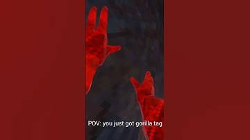 Remember the good times #gorillatag #oculusquest2