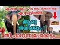 Asian Elephant V/S African Elephant| ഏഷ്യന്‍ ആനയും ആഫ്രിക്കന്‍ ആനയും ഏറ്റുമുട്ടിയാല്‍ ആര് ജയിക്കും ?