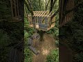 Amazing Treehouse Build ✨ Building A Luxury Forest Loft #diy