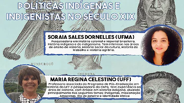 O que é política indigenista brasileira do século XIX para os povos indígenas?