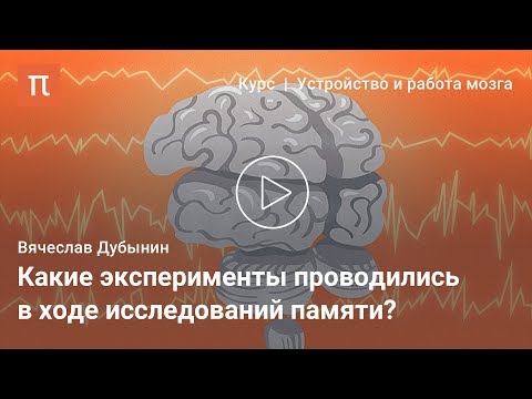 Мозговые центры обучения и памяти — Вячеслав Дубынин