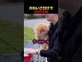 可愛すぎて3000万回再生された動画