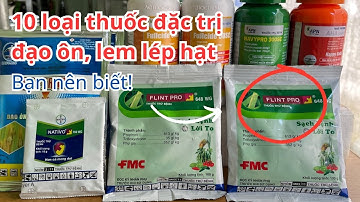 10 loại thuốc đặc trị đạo ôn cổ bông trên lúa hay nhất nông dân cần biết!