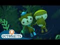 Octonauts - Shellington Adrift | Compilation | Cartoons for Kids