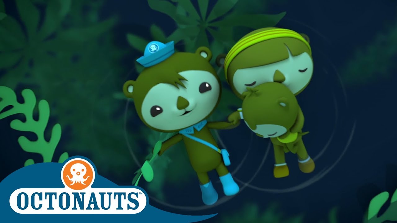 What animal is shellington from octonauts