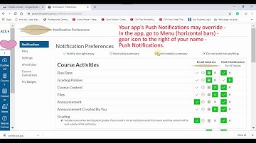 Canvas Notification Settings