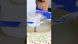 Custom Acrylic Makeup Display Stands | Transparent Acrylic Panels | Acrylic Display Prop