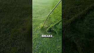 Why is nylon line used in grass cutters?#shorts