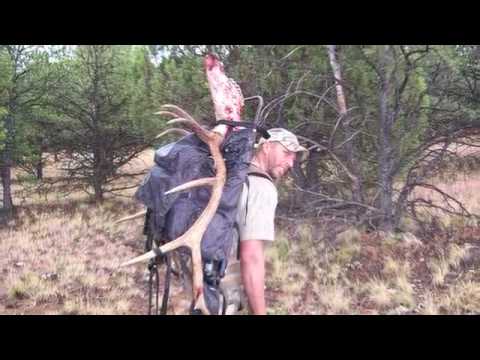 New Mexico Elk - Chad's Outdoor Adventures vol. II