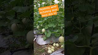 Rejekimu Seret Terhalang Dosa Baca Doa Ini shots