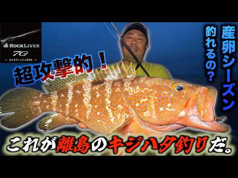 エンジョイソルト - YouTube