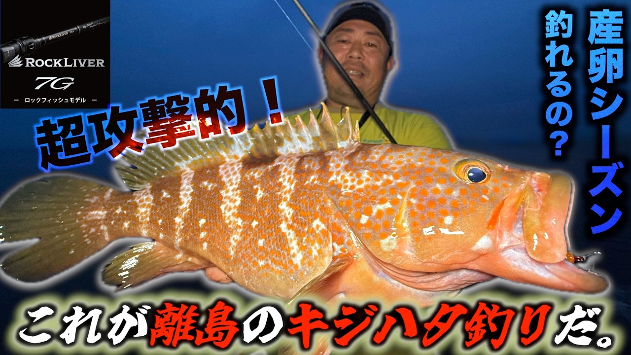 島を釣る Conquer a Remote Island in the Seto Inland Sea! Stick It Out from
