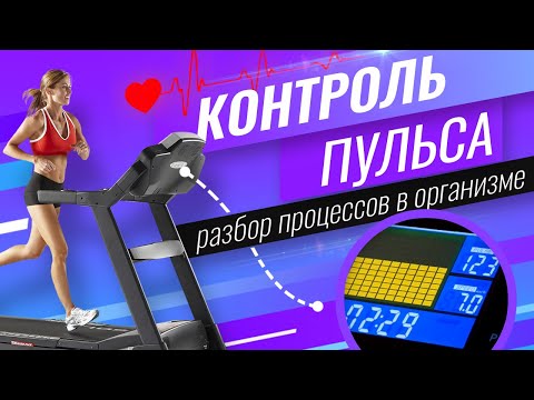 Как тренироваться на беговой дорожке? Контроль пульса. Разбор биохимических процессов в организме.