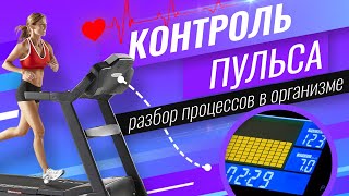 видео: Как тренироваться на беговой дорожке? Контроль пульса. Разбор биохимических процессов в организме. картинка: Как тренироваться на беговой дорожке? Контроль пульса. Разбор биохимических процессов в организме.