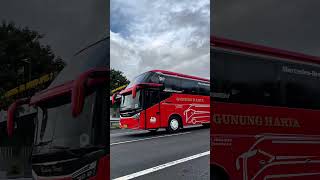 Download Lagu Armada Bus Gunung Harta MP3