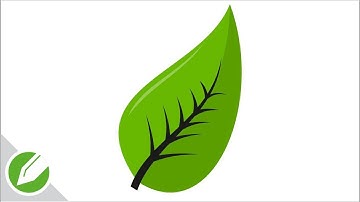 Green Leaf Drawing with CorelDraw | Flat Vector Style | Drawing | CorelDraw Tutorial