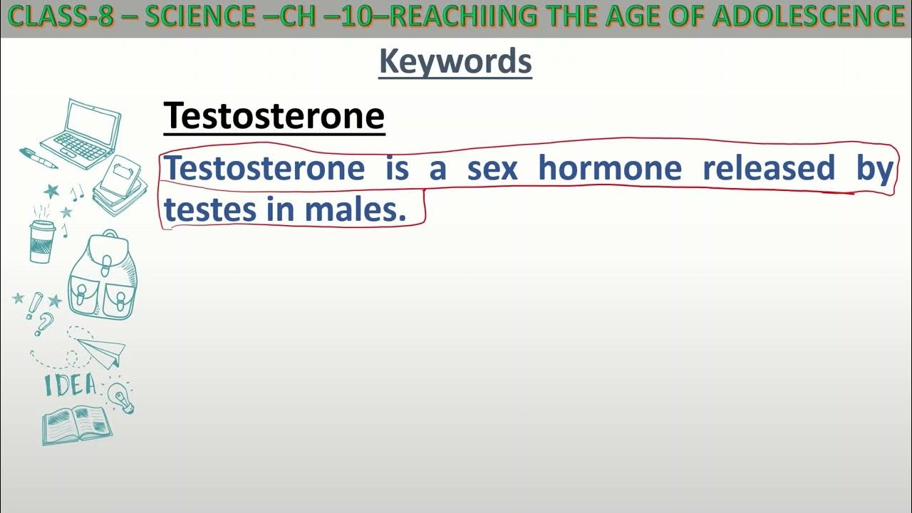 Definition of Testosterone for class 8 science. YouTube