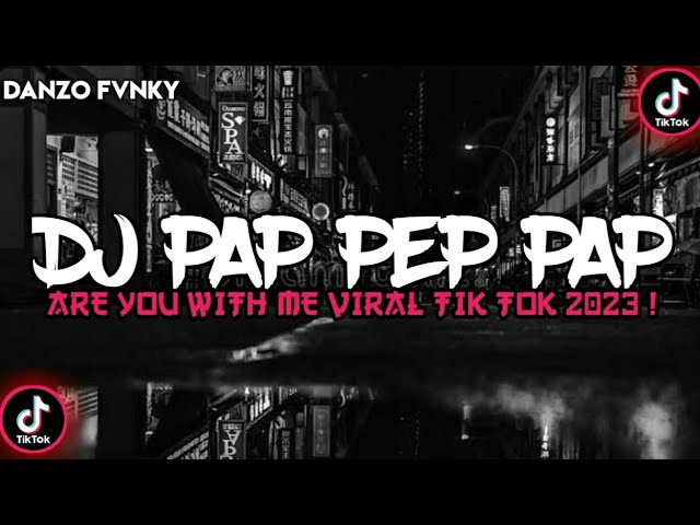 DJ PAP PEP PA PAP ARE YOU WITH ME VIRAL TIK TOK 2023 ! class=