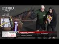 Mohawk, Sbred, September 24, 2026 Race 8 | Woodbine Horse Race Replay