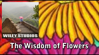 The Wisdom of Flowers - Famous Quotes